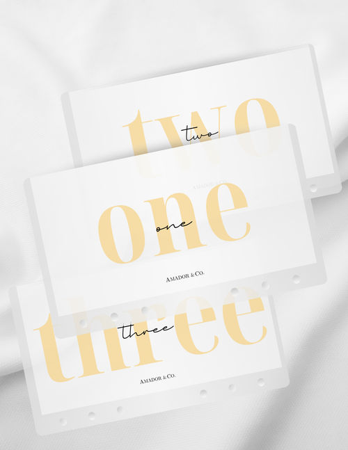 2100 | Aesthetic Cash Envelope