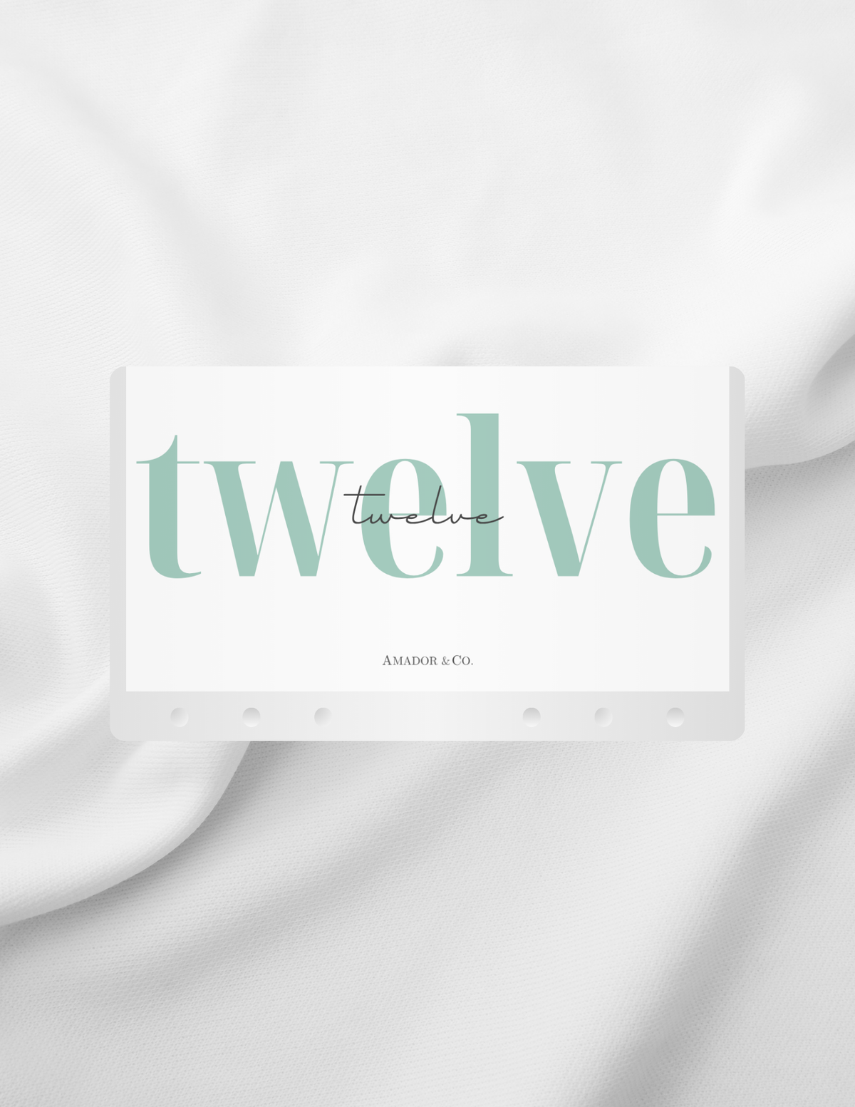 2100 | Aesthetic Cash Envelope