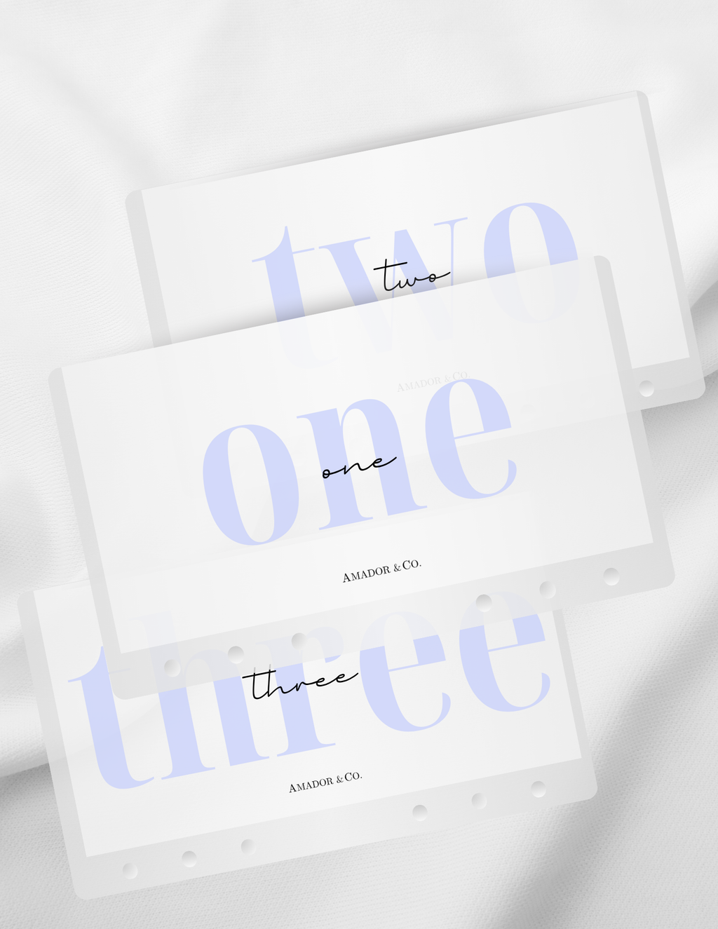 2100 | Aesthetic Cash Envelope