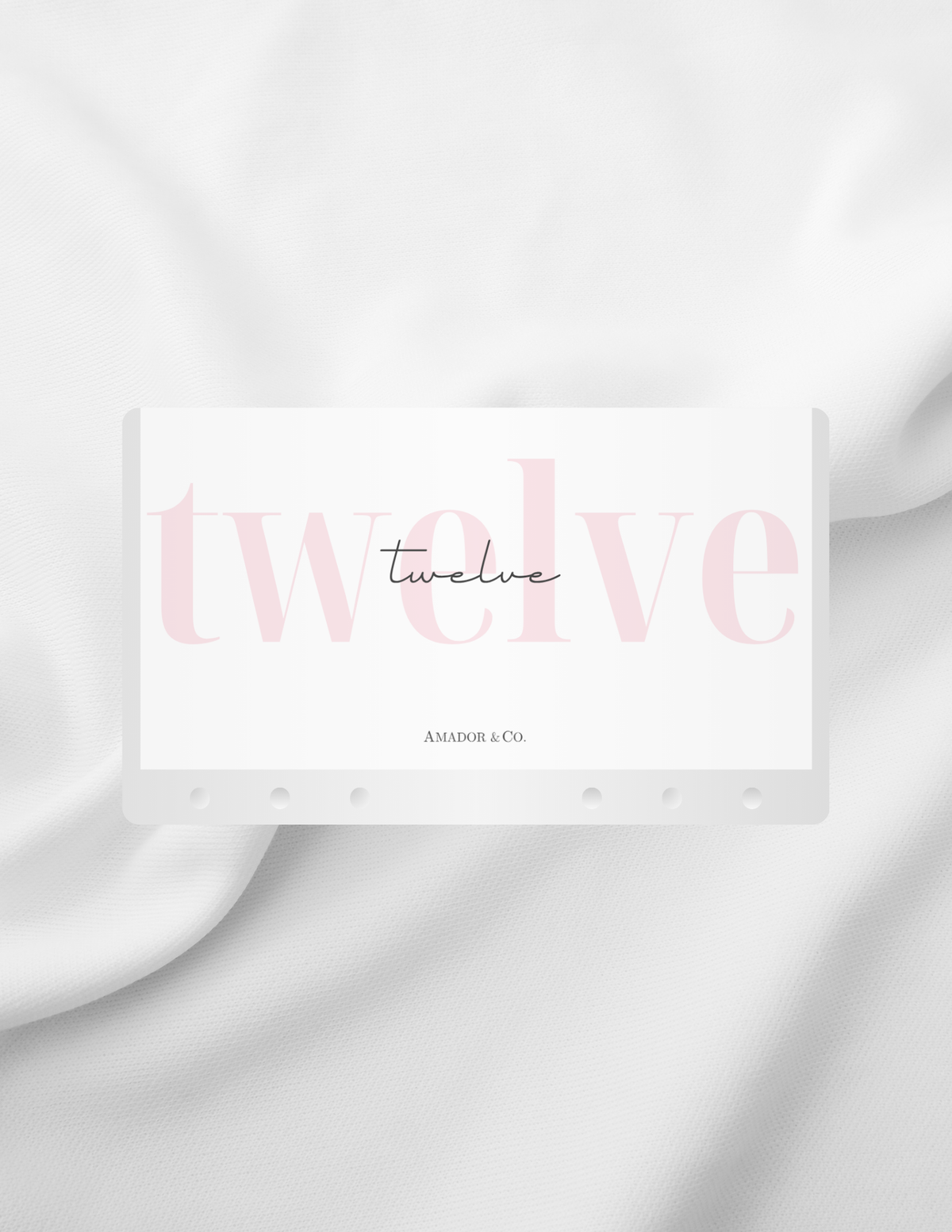 2100 | Aesthetic Cash Envelope