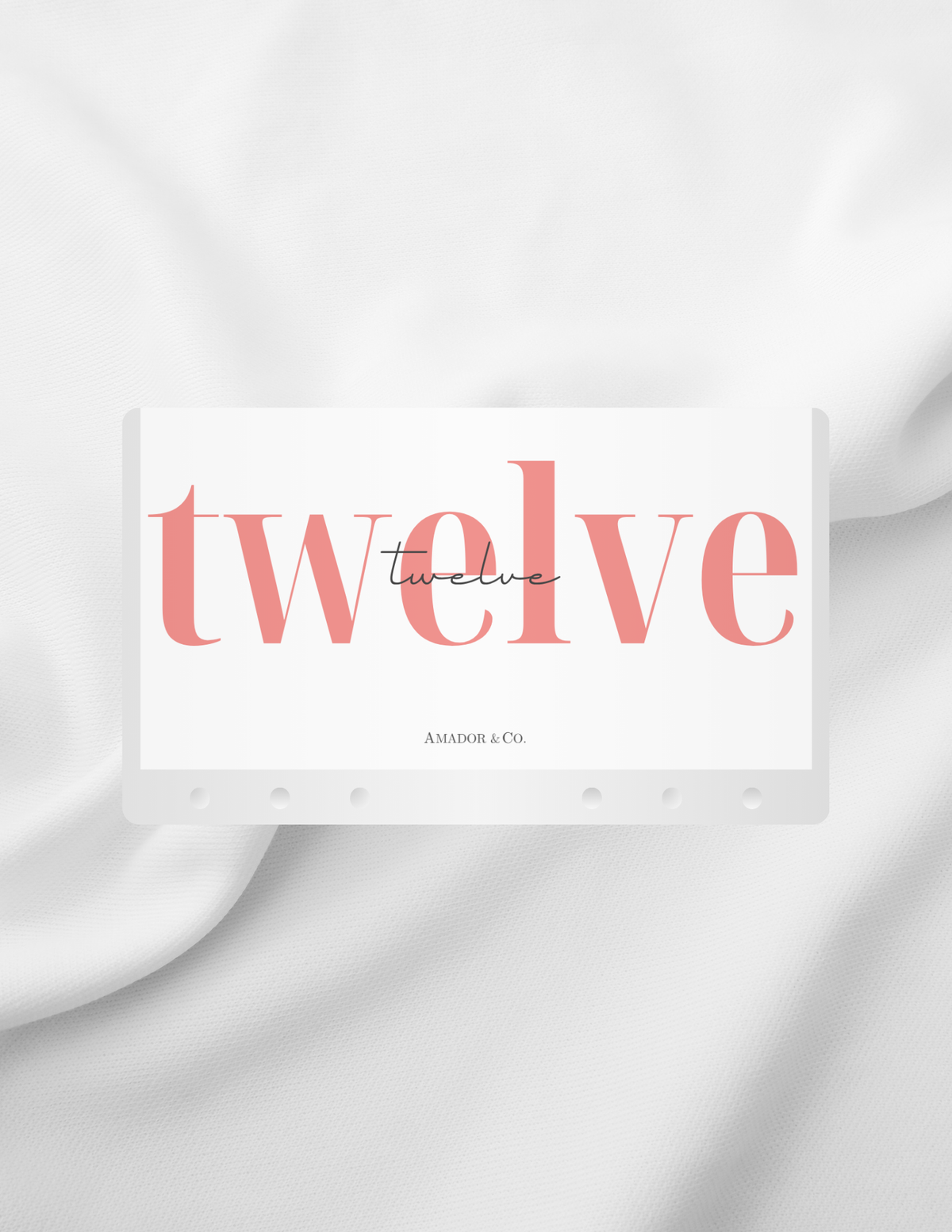 2100 | Aesthetic Cash Envelope